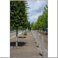 2017-07-11 -3- Jean Rostand 03.jpg